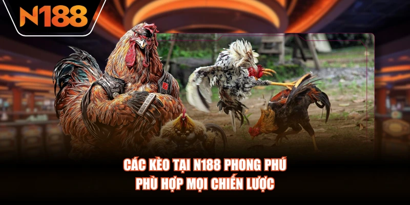 Các kèo tại N188 phong phú, phù hợp mọi chiến lược