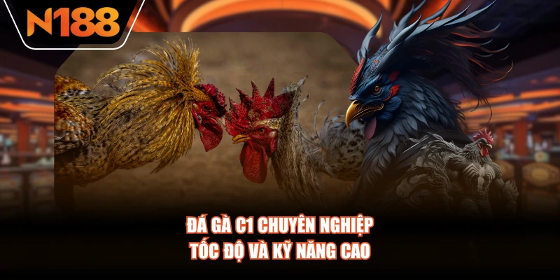 Đá gà C1 chuyên nghiệp, tốc độ và kỹ năng cao